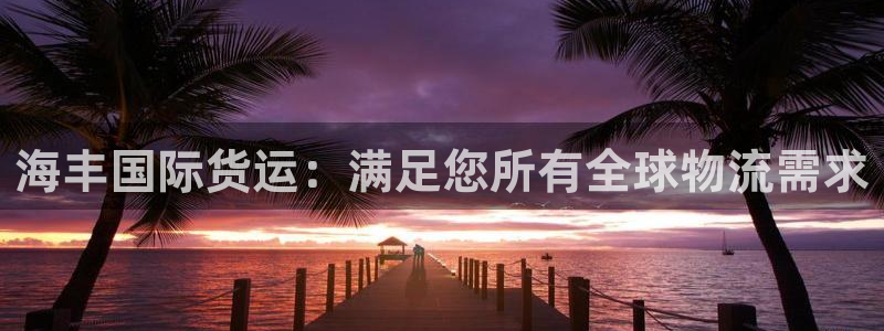 尊龙/人生就是博：海丰国际货运：满足您所有全球物流需求