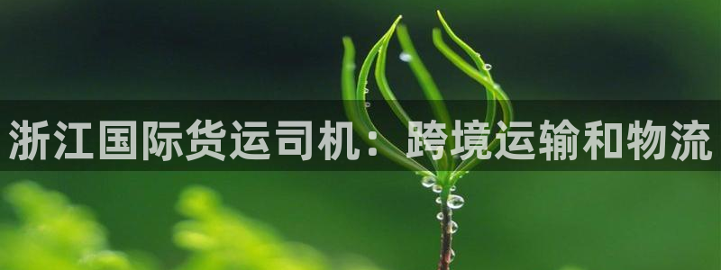 尊龙z6官网ag：浙江国际货运司机：跨境运输和物流