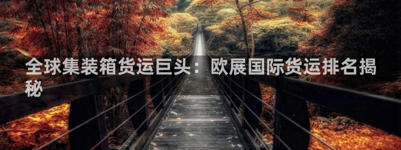 尊龙网平台：全球集装箱货运巨头：欧展国际货运排名揭
秘