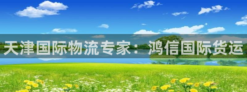 尊龙凯时是赌博嘛：天津国际物流专家：鸿信国际货运