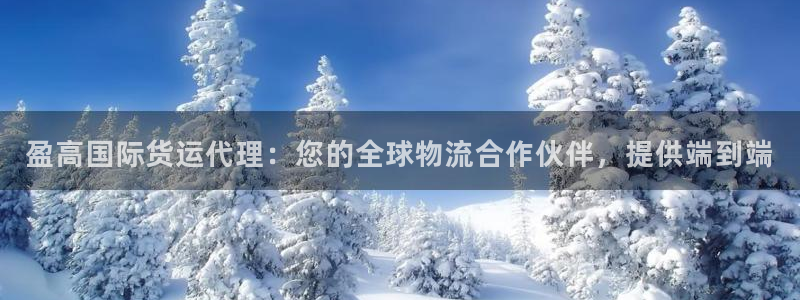 尊龙凯时app官方网站：盈高国际货运代理：您的全球物流合