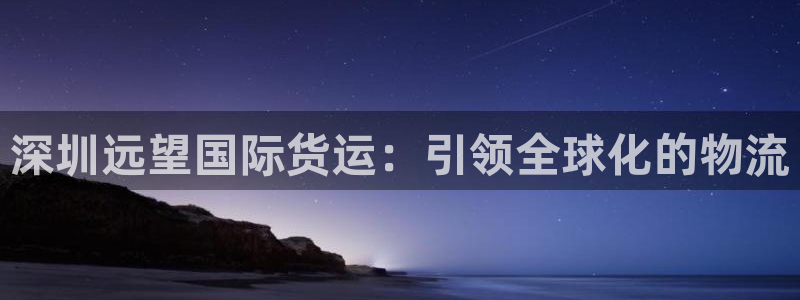 尊龙凯时网站不让提款：深圳远望国际货运：引领全球化的物流