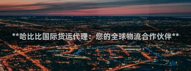 尊龙官网：**哈比比国际货运代理：您的全球物流合作伙伴*