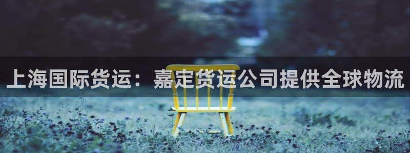 尊龙凯时人生就是博中国官网：上海国际货运：嘉定货运公司提