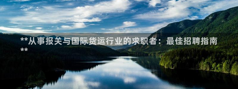 尊龙凯时ag旗舰厅登陆：**从事报关与国际货运行业的求职