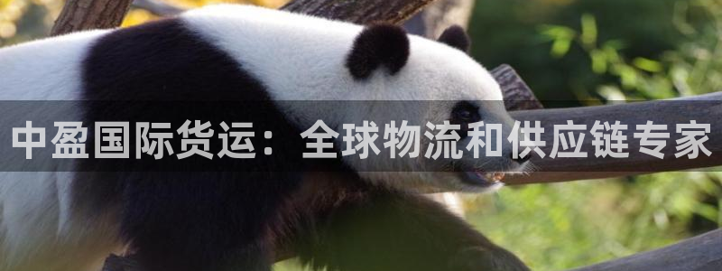 尊龙官网登录·(中国)官方网站-bd SPORTS：中盈