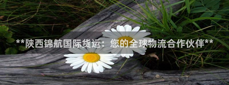 z6尊龙凯时：**陕西锦航国际货运：您的全球物流合作伙伴