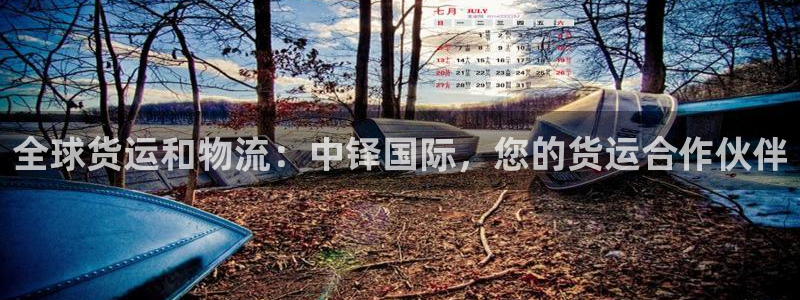 尊龙现金d88：全球货运和物流：中铎国际，您的货运合作伙
