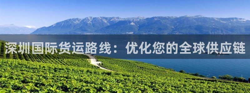 尊龙凯时法充十万返现多少：深圳国际货运路线：优化您的全球