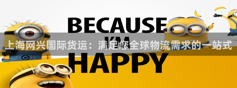 尊龙d88平台版下载：上海网兴国际货运：满足您全球物流需