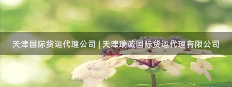 尊龙人生就是博d88官方网站：天津国际货运代理公司 | 