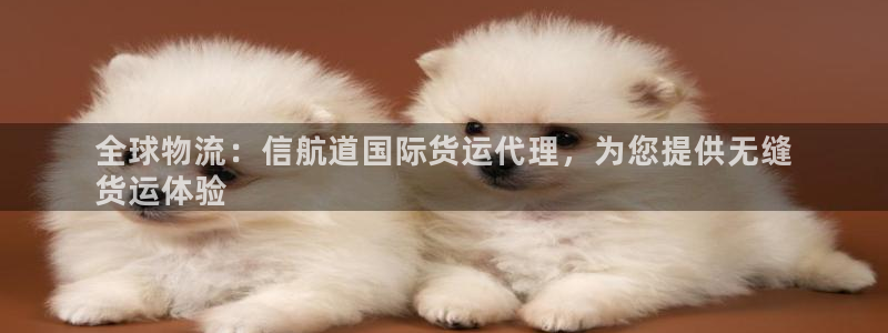 尊龙t600：全球物流：信航道国际货运代理，为您提供无缝