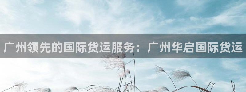 尊龙人生手机版都去ag发财网：广州领先的国际货运服务：广