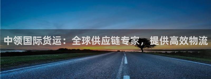 尊龙凯时v7要冲多少：中领国际货运：全球供应链专家，提供