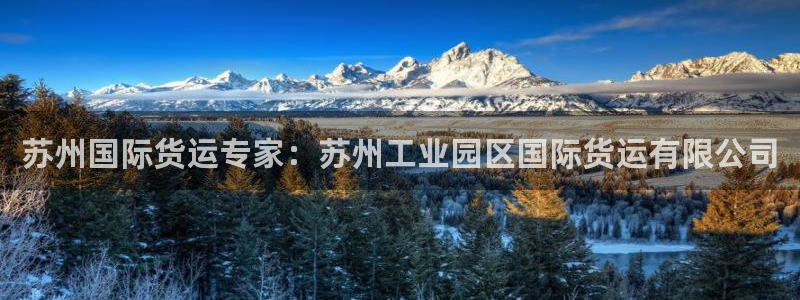 尊龙登录地址：苏州国际货运专家：苏州工业园区国际货运有限