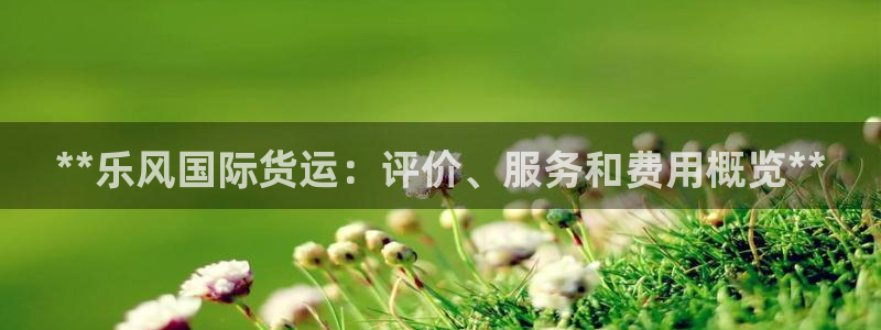 尊龙ag旗舰：**乐风国际货运：评价、服务和费用概览**