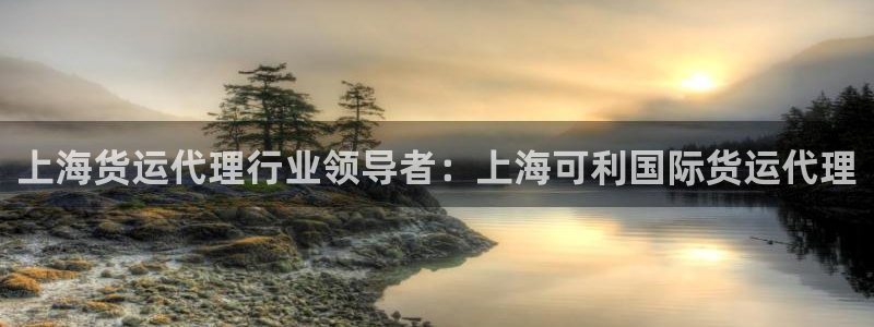 尊龙ag旗舰：上海货运代理行业领导者：上海可利国际货运代