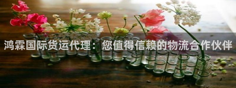 尊龙凯时发展历程：鸿霖国际货运代理：您值得信赖的物流合作
