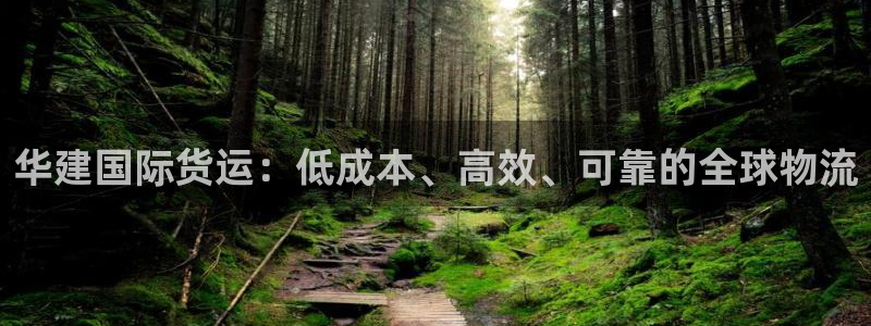 尊龙人生就是博：华建国际货运：低成本、高效、可靠的全球物