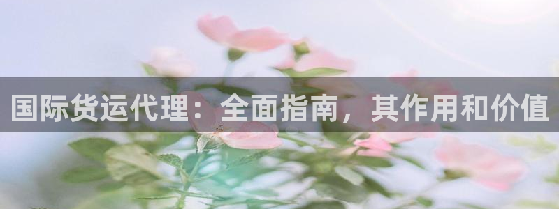 尊龙凯时 - 人生就是搏!提款怎么样：国际货运代理：全面