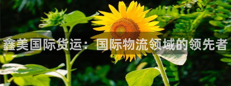 百度一下尊龙：鑫美国际货运：国际物流领域的领先者