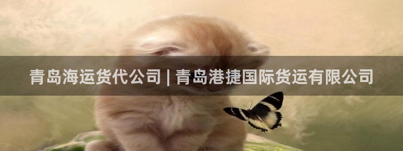 尊龙凯时人生就是博·(中国)官网：青岛海运货代公司 | 