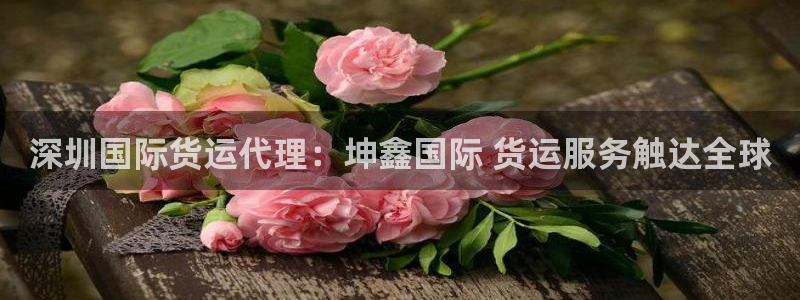尊龙凯时是大平台吗：深圳国际货运代理：坤鑫国际 货运服务