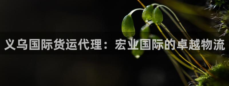 尊龙凯时vip：义乌国际货运代理：宏业国际的卓越物流