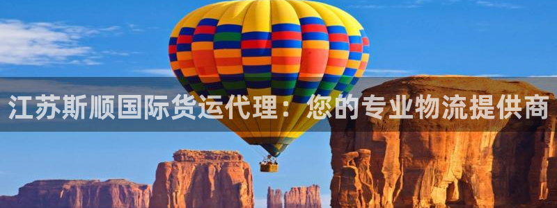 尊龙官方：江苏斯顺国际货运代理：您的专业物流提供商