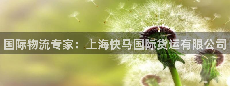 尊龙体育正规么：国际物流专家：上海快马国际货运有限公司