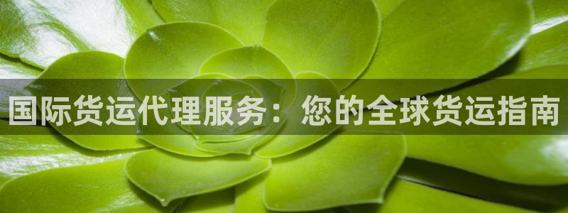 尊龙体育怎么样：国际货运代理服务：您的全球货运指南