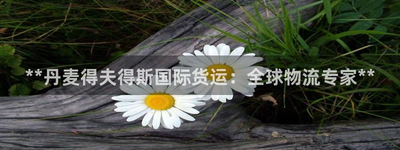 尊龙凯时官网正规吗：**丹麦得夫得斯国际货运：全球物流专