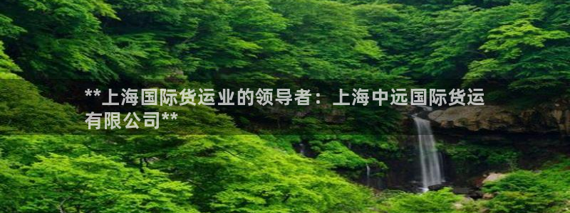 尊龙凯时官方下载：**上海国际货运业的领导者：上海中远国