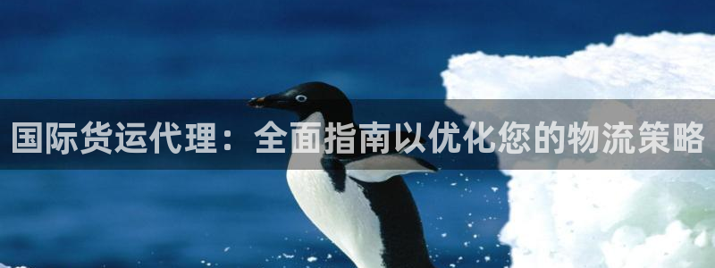 d88尊龙手机客户端下载：国际货运代理：全面指南以优化您