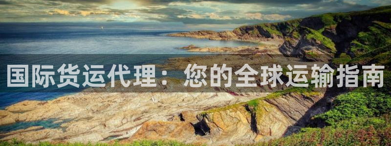 尊龙手机版：国际货运代理：您的全球运输指南