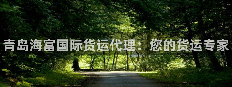 尊龙凯时手机版·(中国)官方网站：青岛海富国际货运代理：
