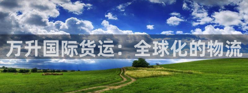 尊龙科技：万升国际货运：全球化的物流