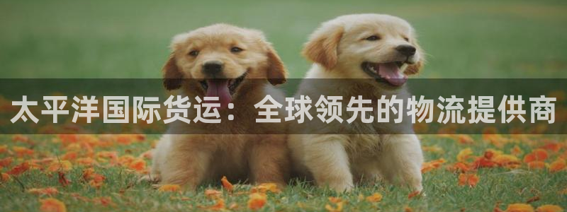 尊龙棋牌老板是谁：太平洋国际货运：全球领先的物流提供商