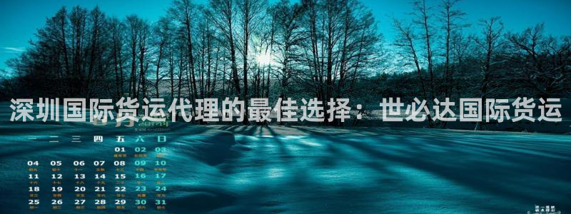尊龙凯时能做退米么：深圳国际货运代理的最佳选择：世必达国