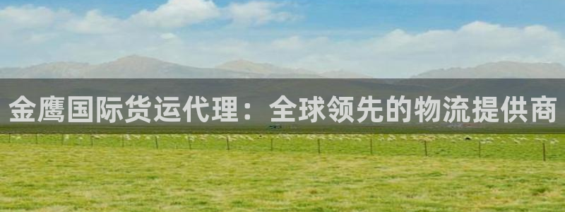 尊龙凯时ag旗舰：金鹰国际货运代理：全球领先的物流提供商