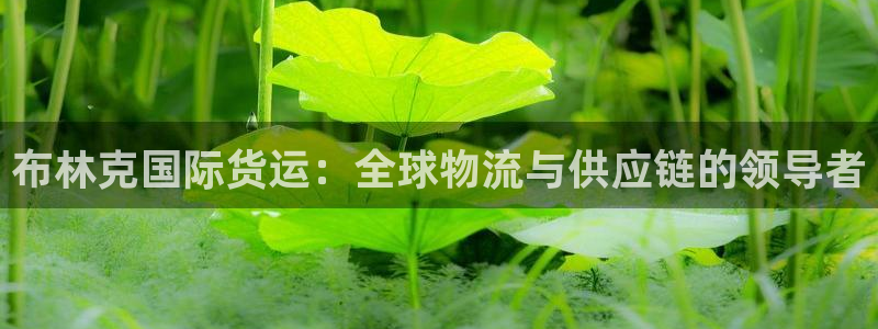 尊龙凯时是哪个国家的：布林克国际货运：全球物流与供应链的