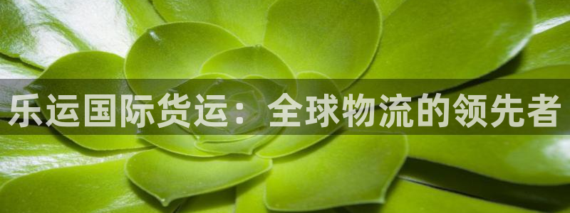 尊龙人生就是博登录首页：乐运国际货运：全球物流的领先者