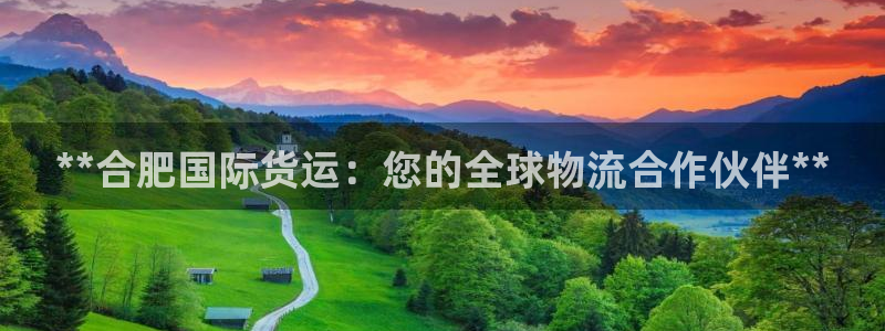 尊龙体育游戏平台：**合肥国际货运：您的全球物流合作伙伴