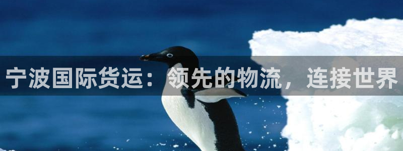 尊龙人生就是博登录首页：宁波国际货运：领先的物流，连接世