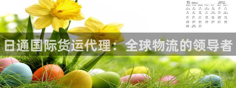 尊龙棋牌旗舰店：日通国际货运代理：全球物流的领导者