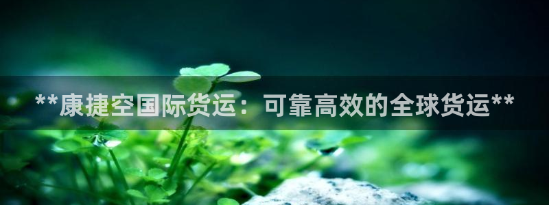 尊龙人生就是博网站：**康捷空国际货运：可靠高效的全球货