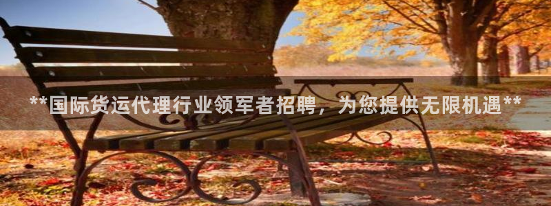 尊龙官网免费下载安装：**国际货运代理行业领军者招聘，为