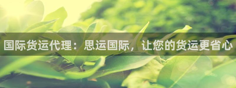 尊龙d88现金关注ag发财网：国际货运代理：思运国际，让