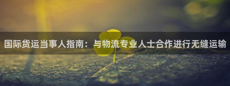 尊龙d88皆选ag发财网：国际货运当事人指南：与物流专业