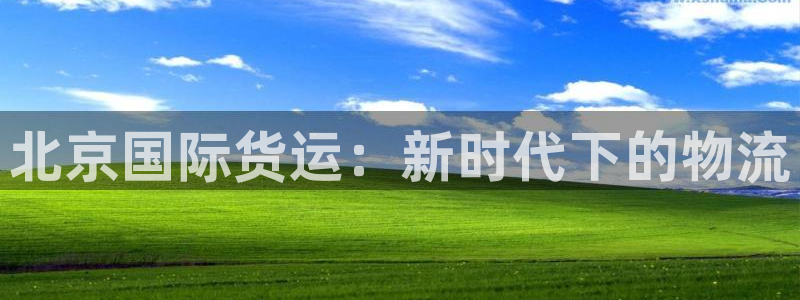 尊龙软件下载：北京国际货运：新时代下的物流